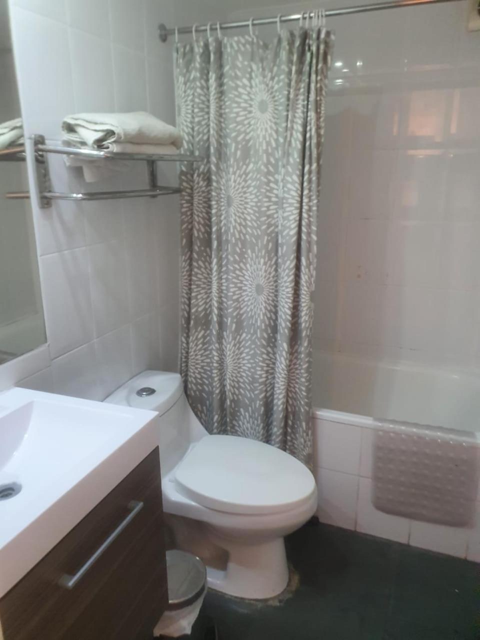 Departamento Centrico Entre Metro Leones Y Pedro De Valdivia Apartamento